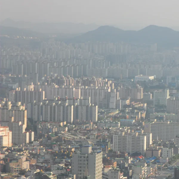 라운지 보미포레스트 홈타이 안내 이미지