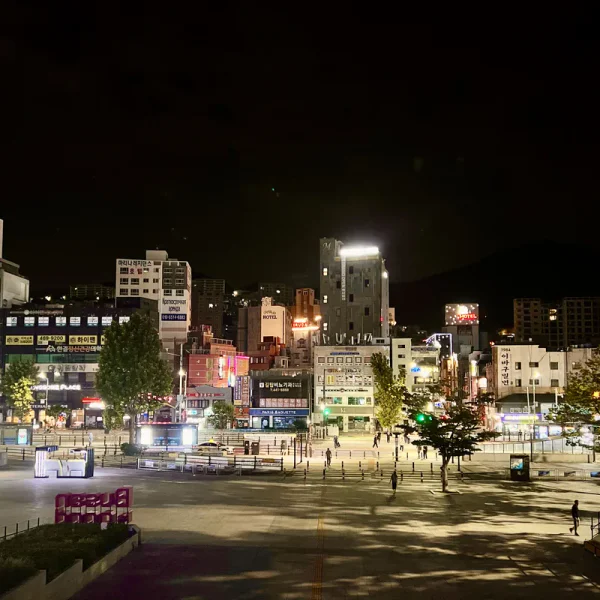포레스트 아이린스튜디오 테라피 안내 이미지