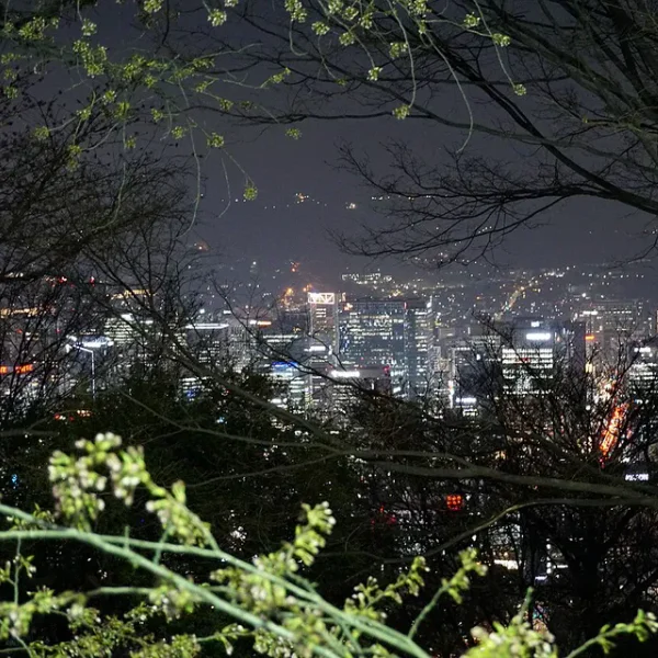로열 라엘센터 테라피 안내 이미지
